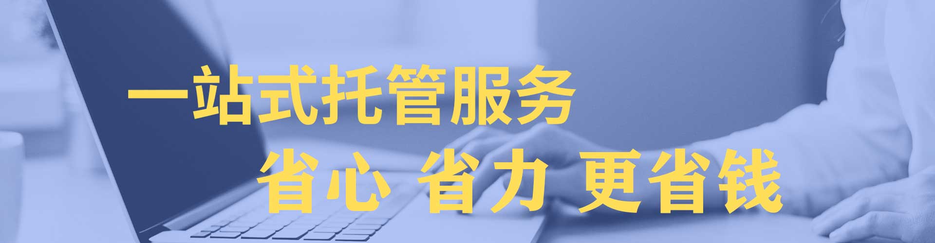 鸟松sem代运营